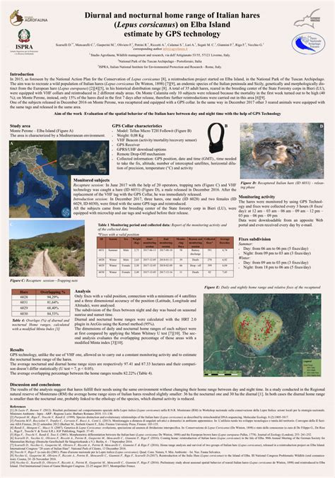 vecchio g scarselli d|(PDF) Diurnal and nocturnal home range of Italian hares (Lepus .